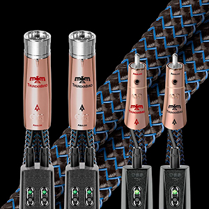 ThunderBird Mythical Creatures