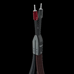 William Tell BiWire COMBO