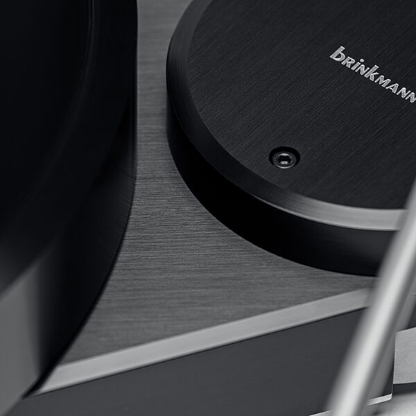 Brinkmann_Taurus_11 Taurus