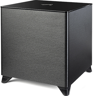 Dynamo Foundation 12