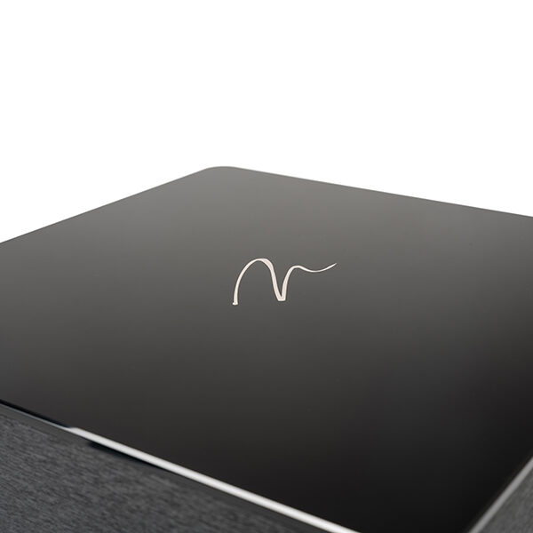 Dynamo Foundation 12