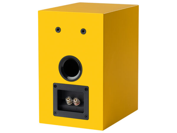 Speaker Box 5 E Carbon